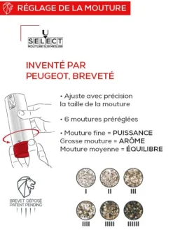 Peugeot Saveurs Line electrique Coffret cadeau - duo de moulins à poivre et à sel électriques rechargeables, u'select, carbone et aluminium, 15 cm - 6in. -><noscript><img width=