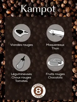 Peugeot Saveurs Multipack mix premium Pack poivres et sel premium -><noscript><img width=