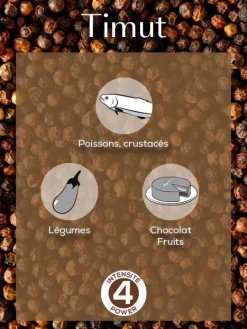 Peugeot Saveurs Multipack poivres standard Multipack poivres standard -><noscript><img width=