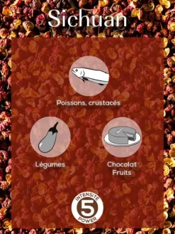 Peugeot Saveurs Sichuan Poivre rouge de chine, 40g - 4 sachets fraicheur de 10g -> Epices Du Monde